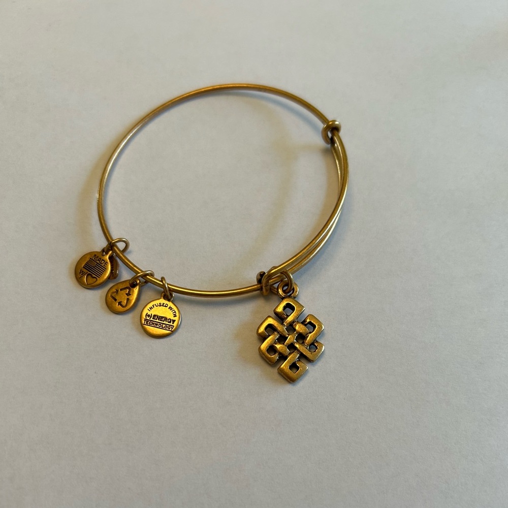 Alex and Ani Endless Knot Bangle